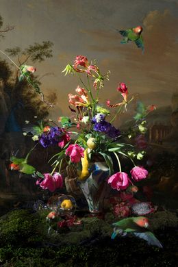 Drucke, Still life with parrots, Hans Withoos