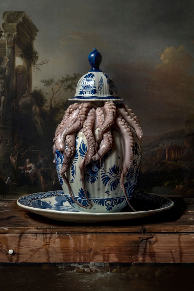Hans Withoos, Squid Hans Withoos, Squid