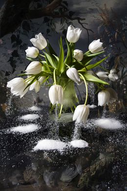 Print, White Snow, Hans Withoos
