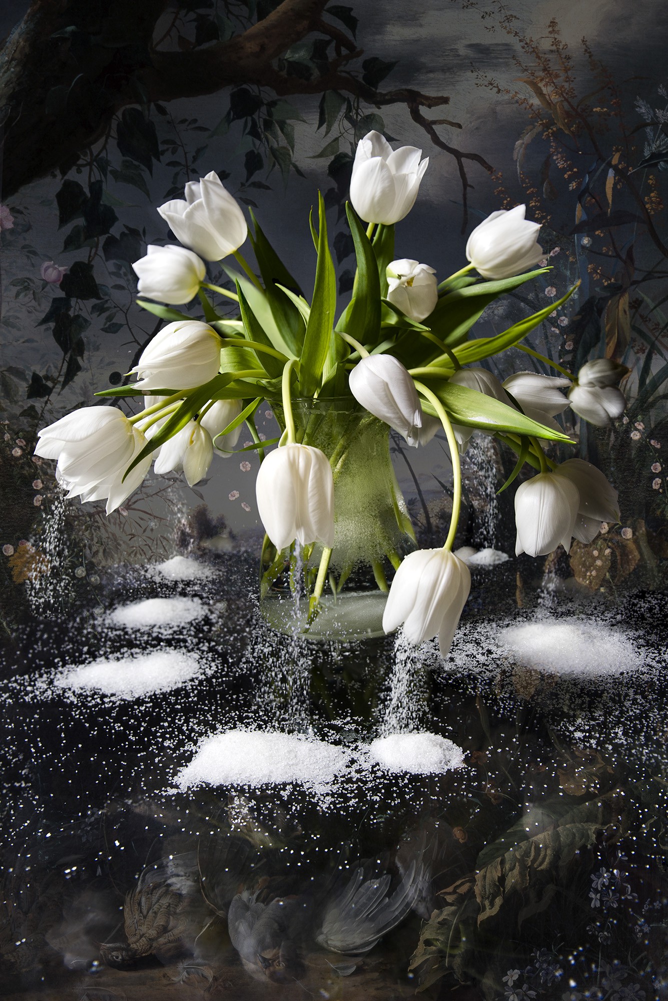 Hans Withoos, White Snow Hans Withoos, White Snow