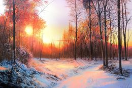Peinture, Sunlit Winter Path, Sergey Miqayelyan