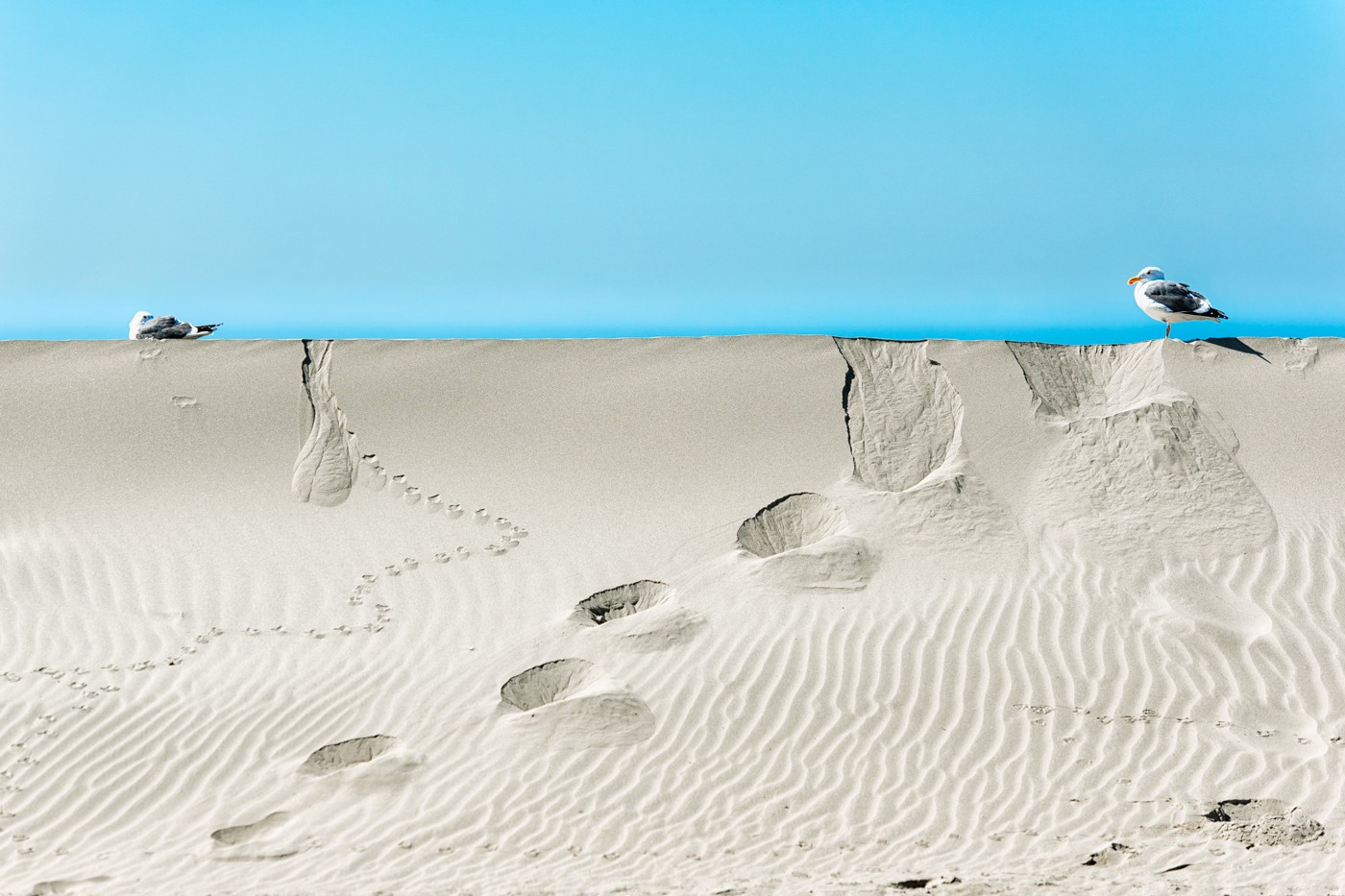 Serge Hamad, Beach #32 Serge Hamad, Beach #32