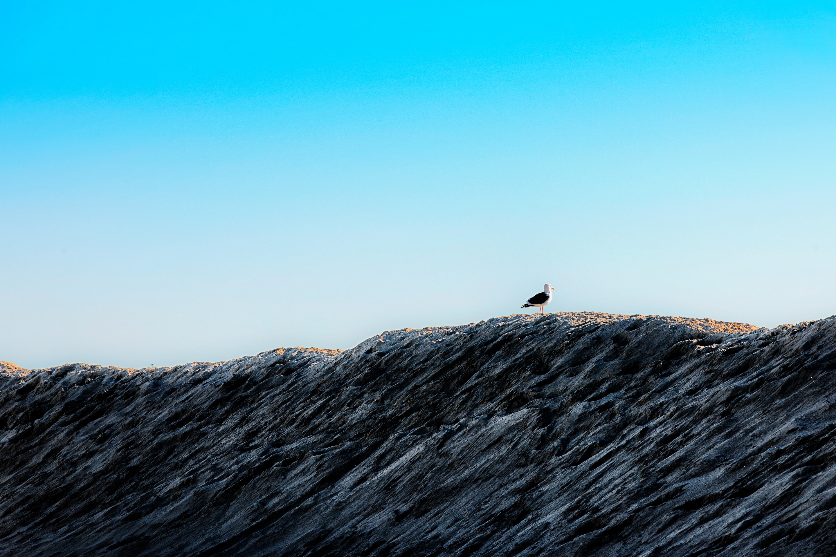 Serge Hamad, Beach #25 Serge Hamad, Beach #25