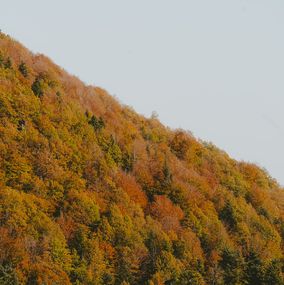 Fotografien, Fall colours in the mountains, Arantza NT Photography