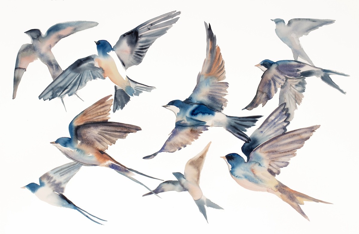 Elizabeth Becker, Swallows in Flight No. 47 Elizabeth Becker, Swallows in Flight No. 47