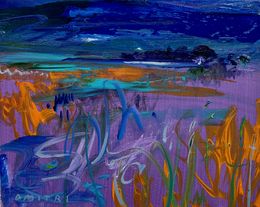 Peinture, Maine Nocturne Opus XX, Dmitri Wright