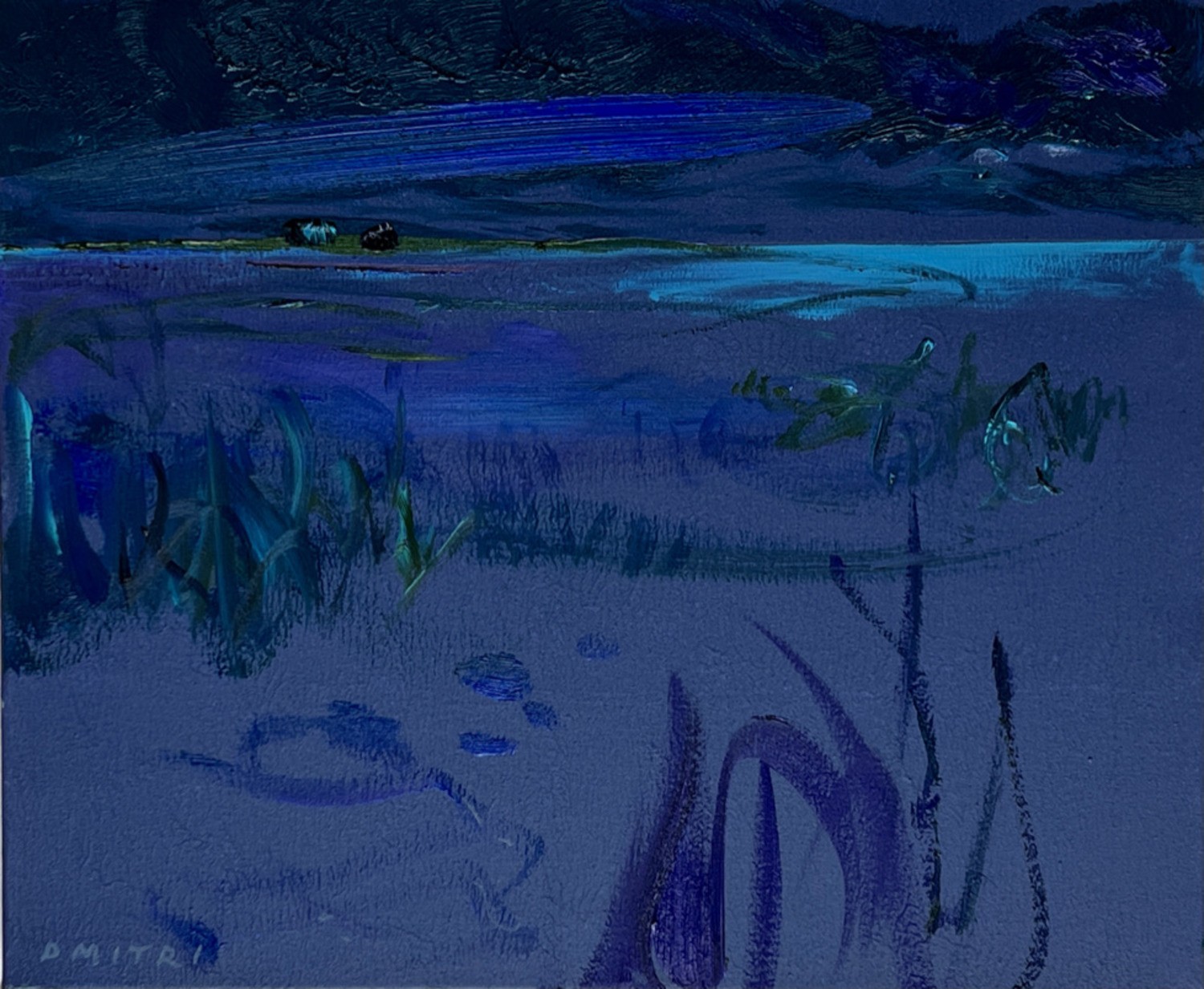 Dmitri Wright, Maine Nocturne Opus XXIV Dmitri Wright, Maine Nocturne Opus XXIV