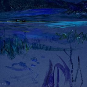 Gemälde, Maine Nocturne Opus XXIV, Dmitri Wright