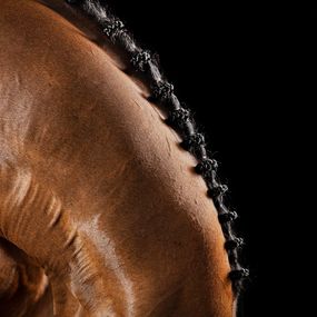 Photography, Breviarum, Horse Portrait, Equine Beauty, Raphael Macek