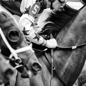 Photography, Constellatio, Horse Portrait, Equine Beauty, Raphael Macek