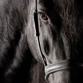 Photography, Utilita, Raphael Macek