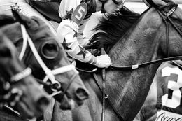 Fotografien, Constelattio, Horse Portrait, Equine Beauty, Raphael Macek