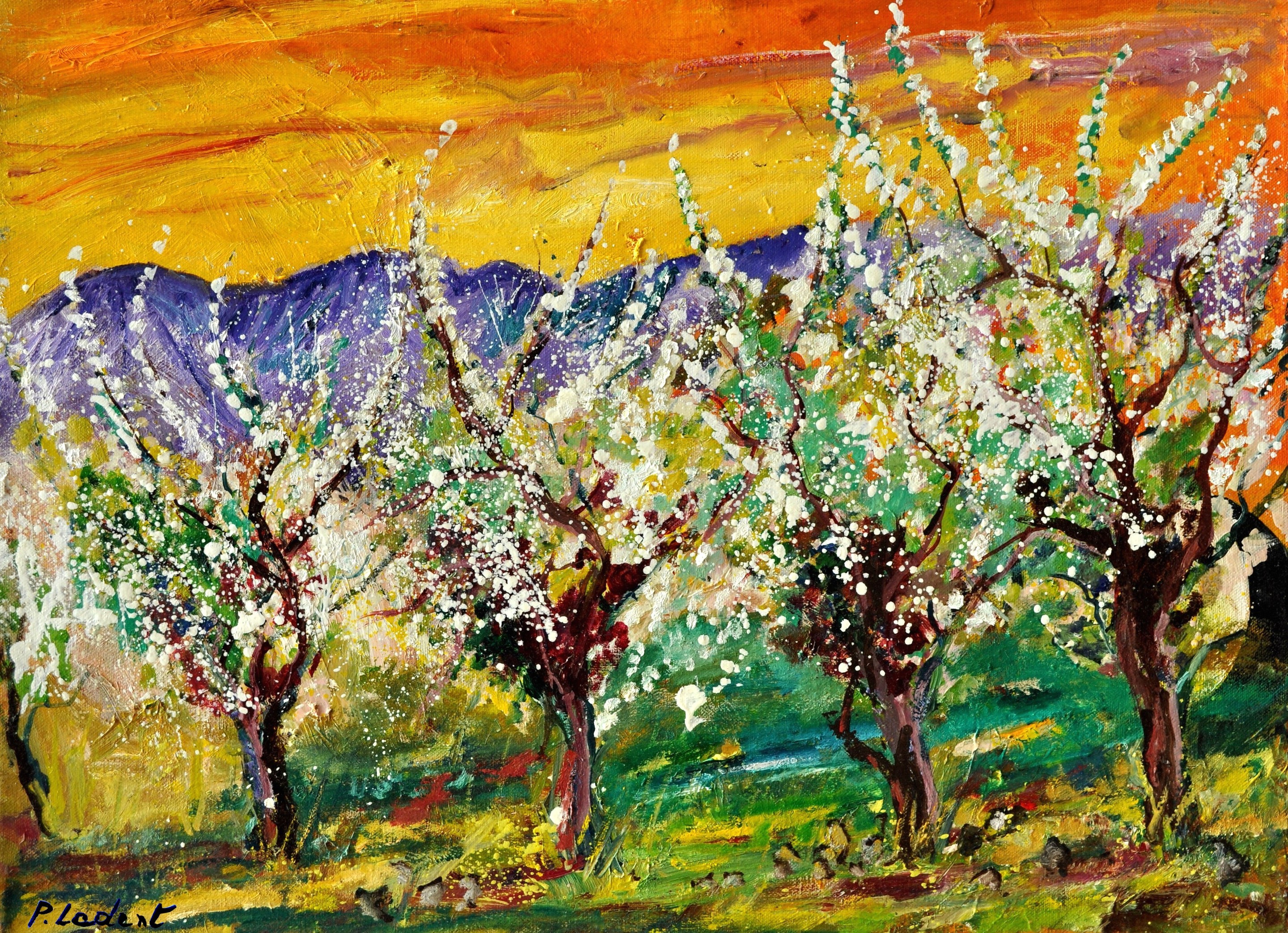 Pol Ledent, Blooming cherrytrees Pol Ledent, Blooming cherrytrees