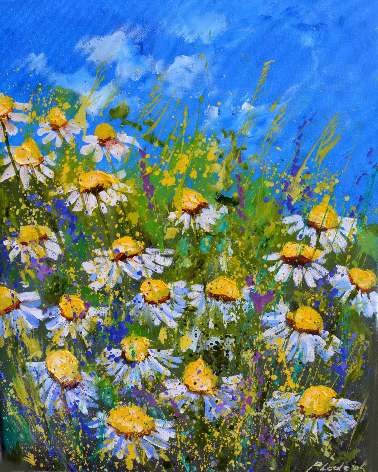 Pol Ledent, Daisies Pol Ledent, Daisies