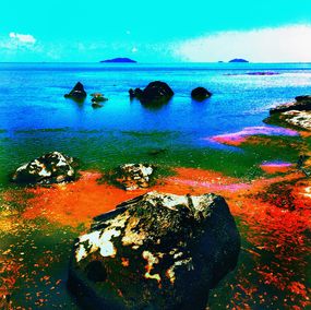 Drucke, Pacific Orange Rocks, Pellarose