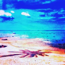 Print, Pacific Palms, Pellarose