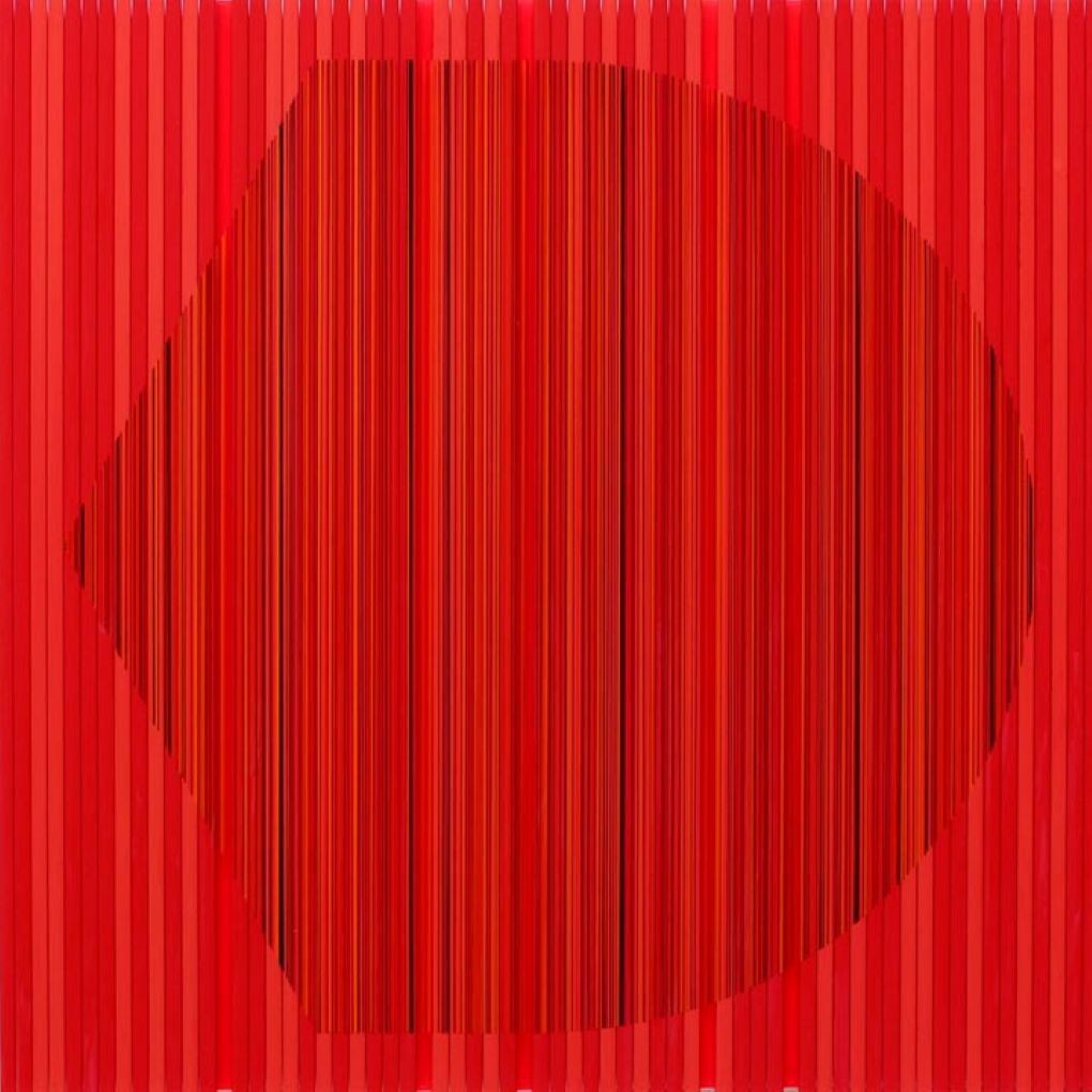 Rachel Wickremer, Shield Rachel Wickremer, Shield