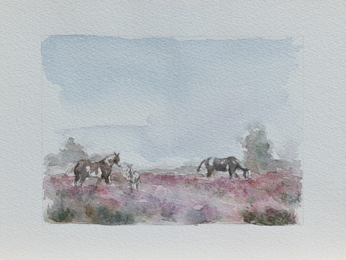 Morgane De Back, Paysage de landes Morgane De Back, Paysage de landes