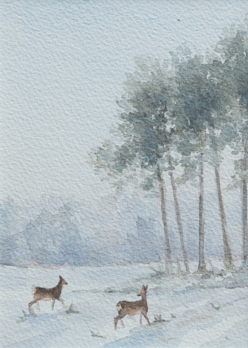 Morgane De Back, Biches en hiver - Morgane De Back, Biches en hiver -