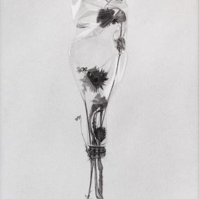 Fine Art Drawings, Écosystème 1, Murmure