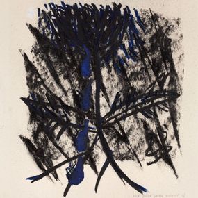 Zeichnungen, Fleurs de nuit, Yosef Joseph Dadoune