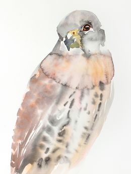 Painting, Kestrel No. 9, Elizabeth Becker