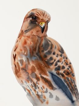 Gemälde, Red-Tailed Hawk, Elizabeth Becker