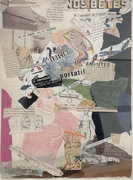 Zeichnungen, Nos bêtes, Jacqueline Pavlowsky