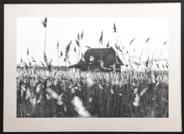 Photographie, The house on the marsh, James Sparshatt