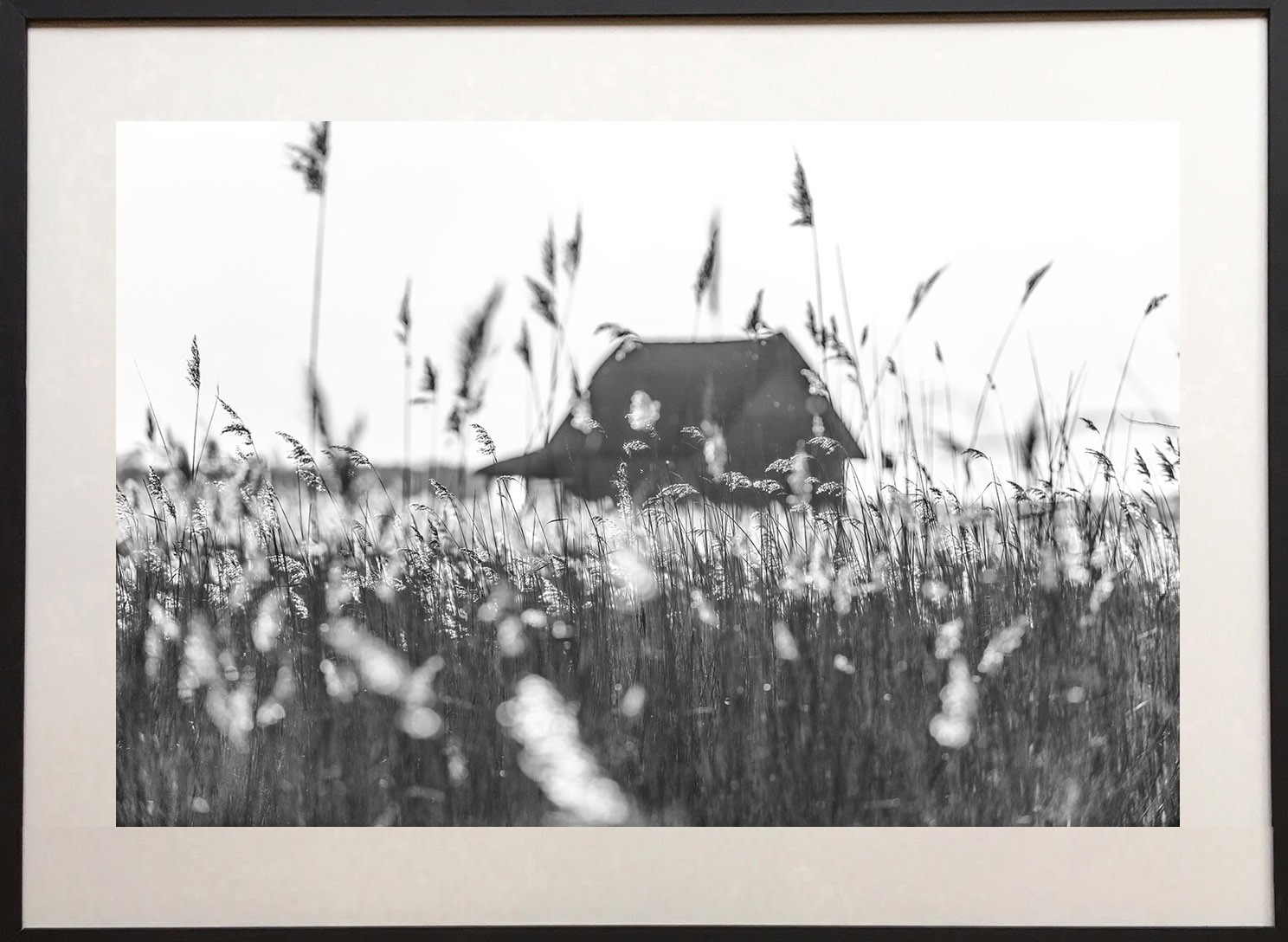 James Sparshatt, The house on the marsh James Sparshatt, The house on the marsh