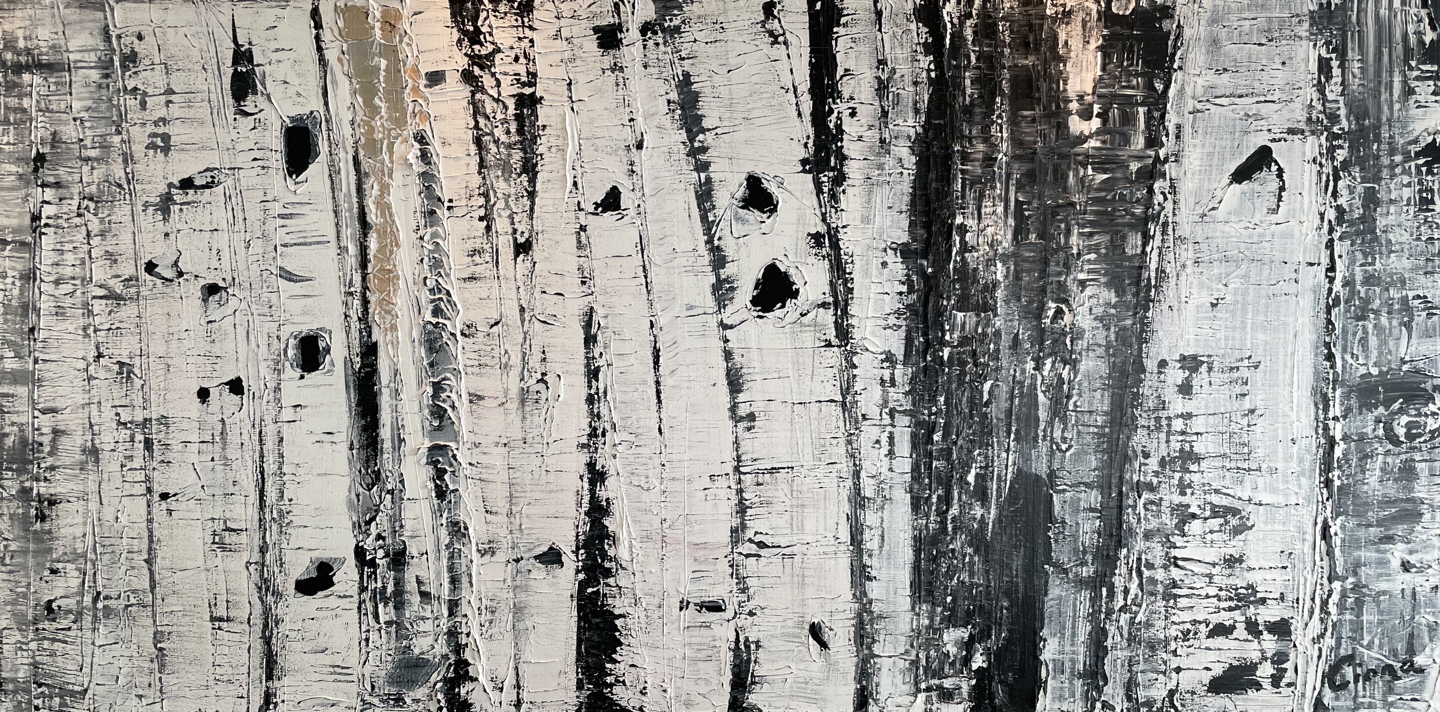 Cory Ciona, Faded Birch Cory Ciona, Faded Birch