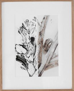 Fine Art Drawings, Blois flottés, Maksim Lopez