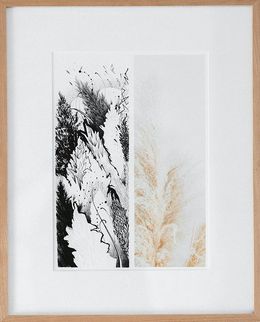 Fine Art Drawings, Pomme de pin (3), Maksim Lopez