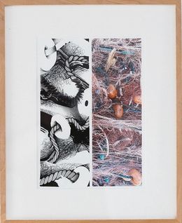 Fine Art Drawings, Filet, Maksim Lopez