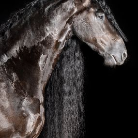 Photography, Liberi, Raphael Macek