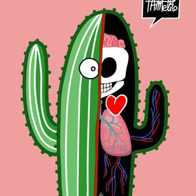 Drucke, Anatomy, Pamelito