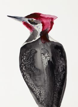 Gemälde, Pileated Woodpecker, Elizabeth Becker