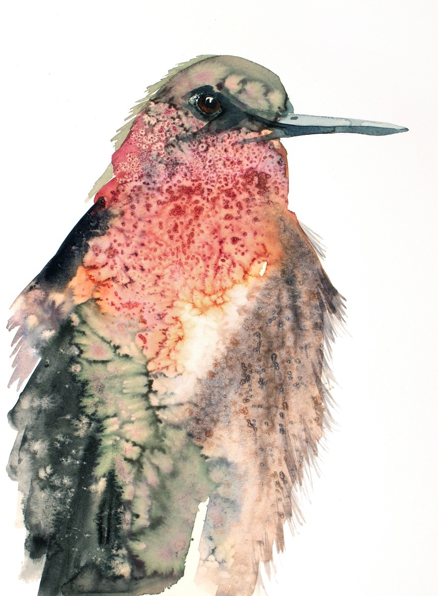 Elizabeth Becker, Hummingbird No. 7 Elizabeth Becker, Hummingbird No. 7