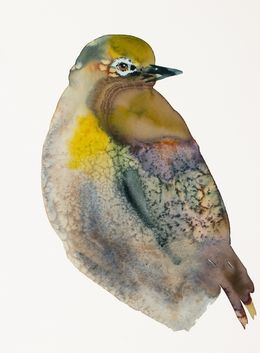 Painting, White-Eye, Elizabeth Becker