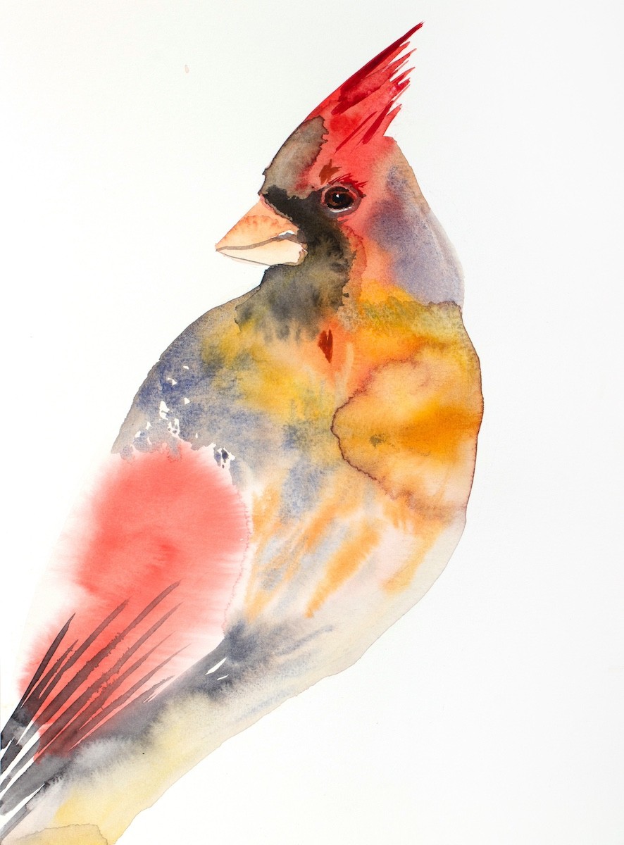Elizabeth Becker, Cardinal No. 6 Elizabeth Becker, Cardinal No. 6