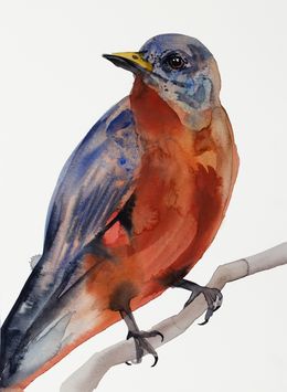 Painting, Robin No. 11, Elizabeth Becker