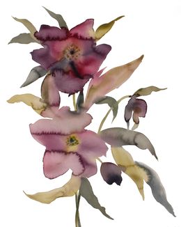 Painting, Hellebore No. 38, Elizabeth Becker