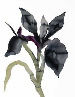 Painting, Iris No. 206, Elizabeth Becker