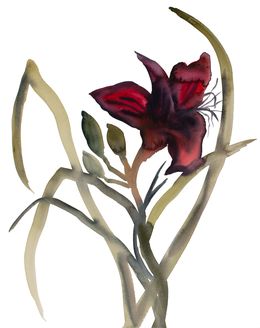 Painting, Lily, Elizabeth Becker