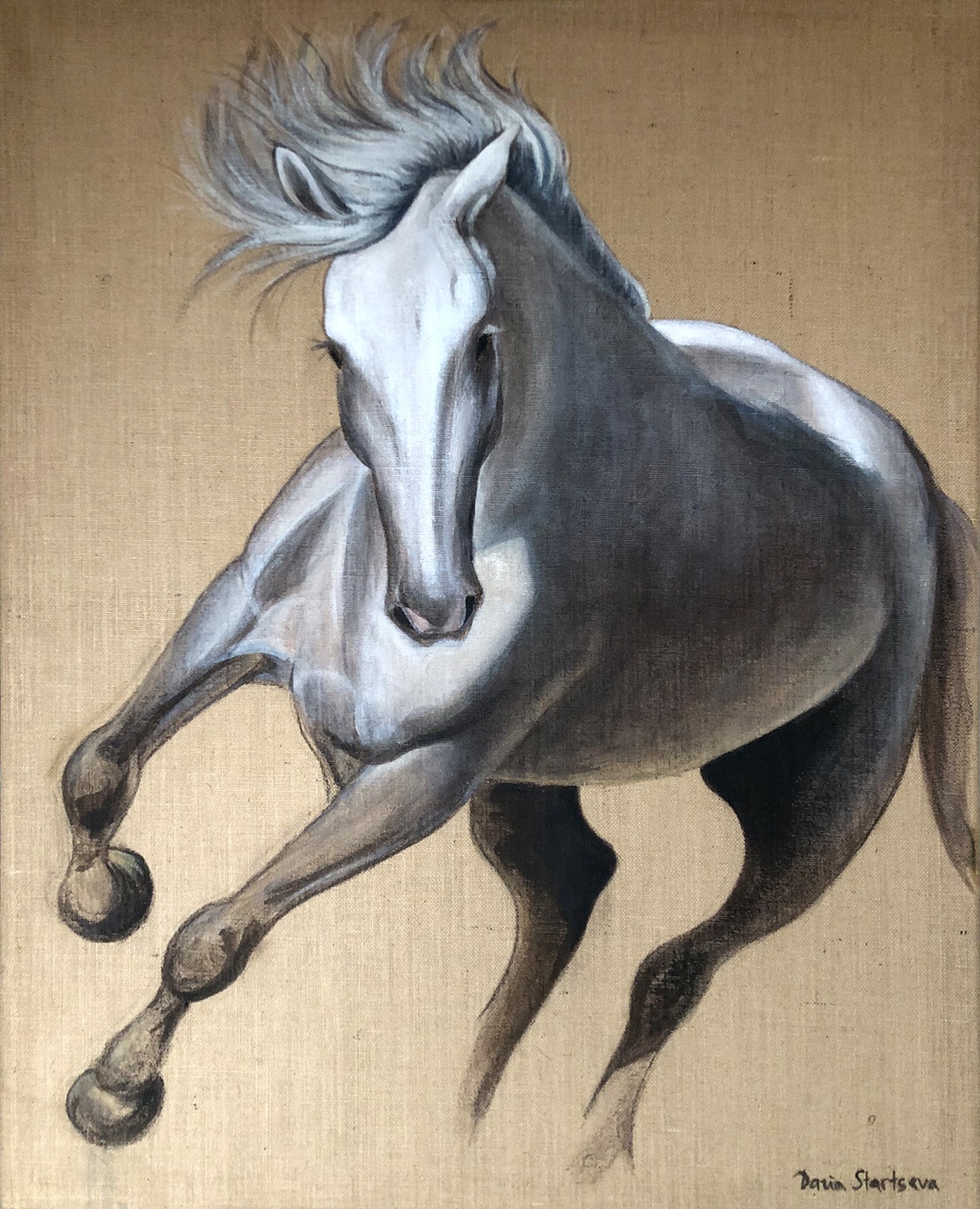 Daria Startseva, Horse Daria Startseva, Horse