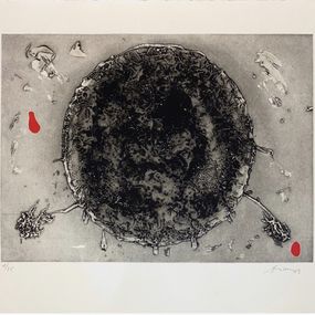 Drucke, Cercle negre, Daniel Argimon