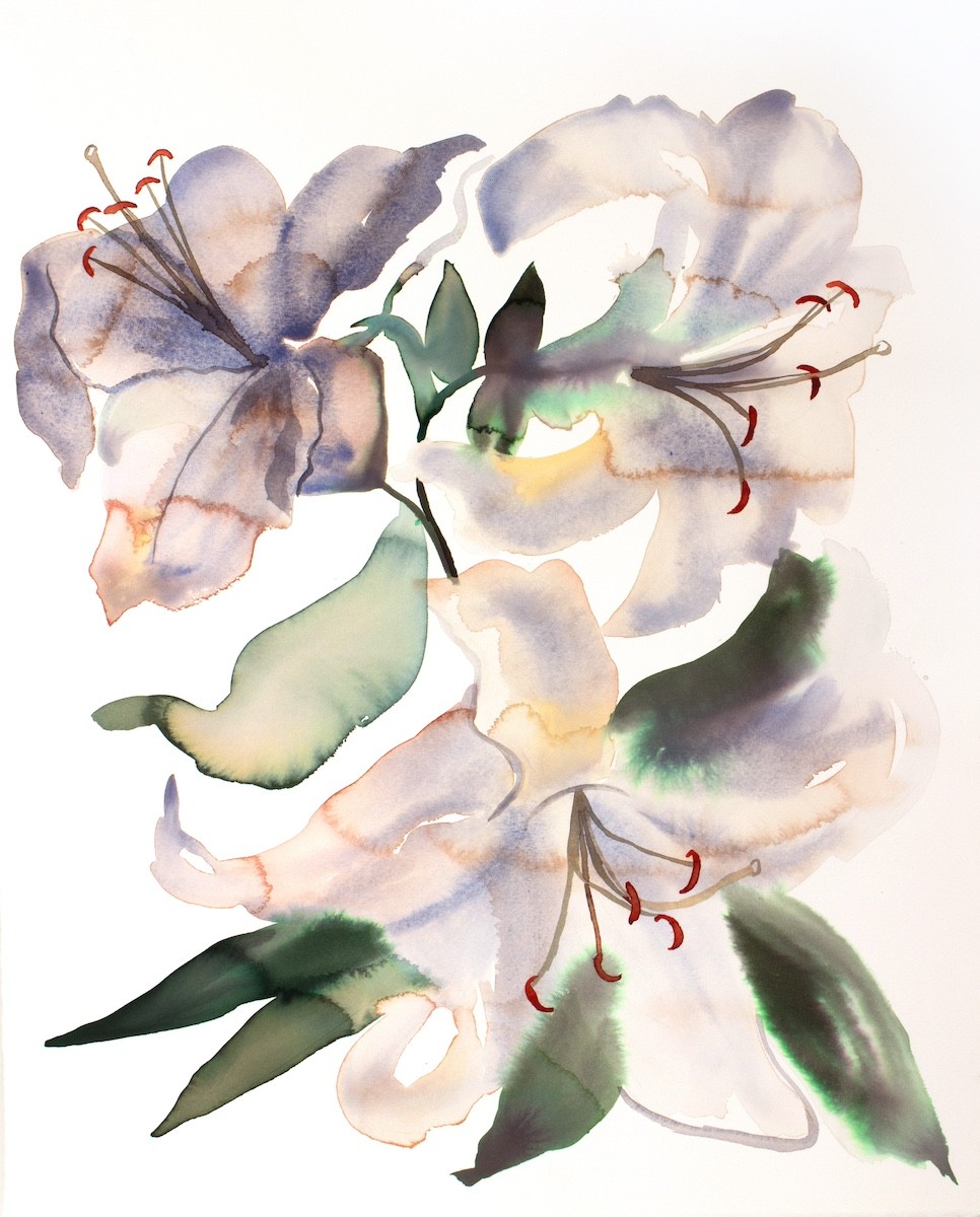 Elizabeth Becker, Lilies No. 4 Elizabeth Becker, Lilies No. 4