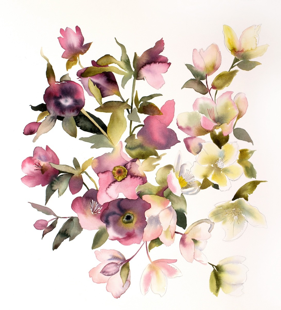 Elizabeth Becker, Hellebores Elizabeth Becker, Hellebores