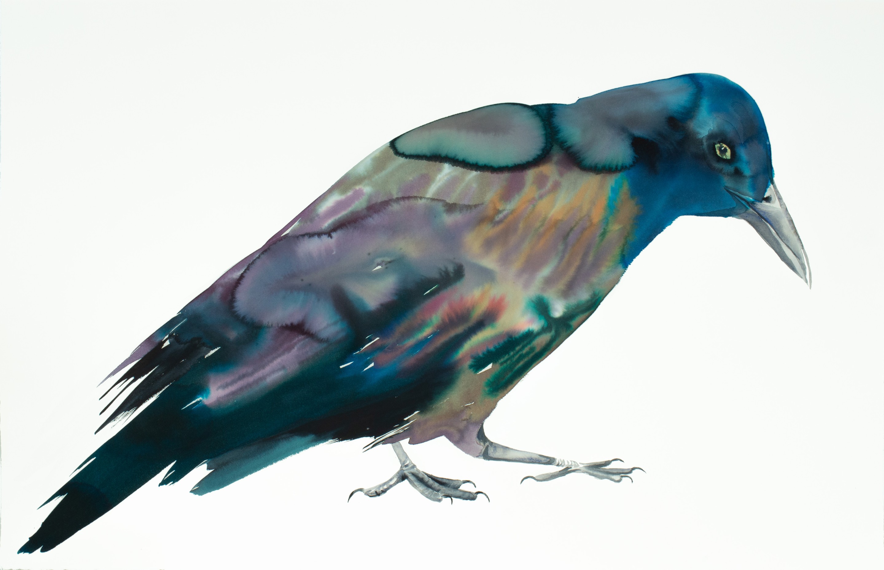 Elizabeth Becker, Grackle No. 4 Elizabeth Becker, Grackle No. 4