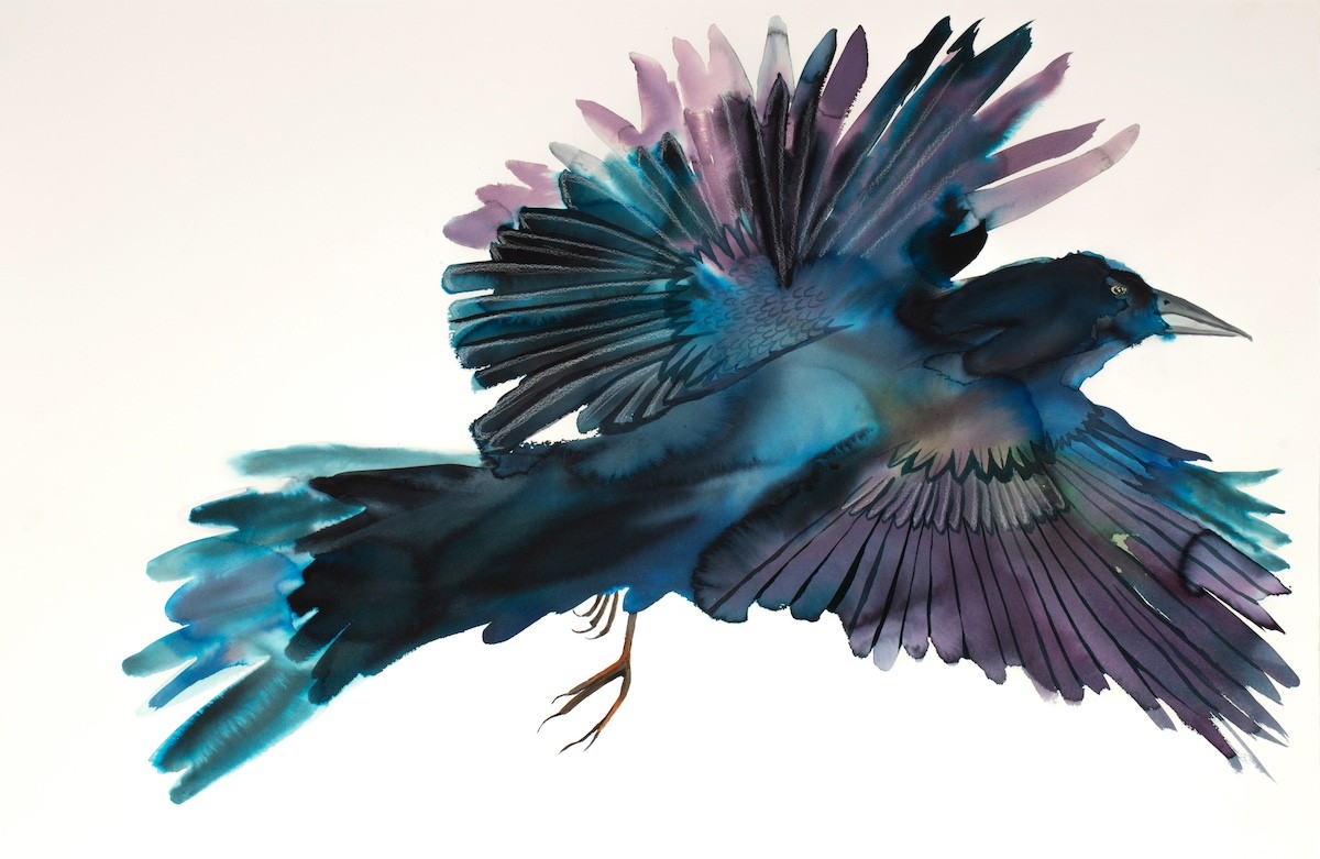 Elizabeth Becker, Grackle No. 5 Elizabeth Becker, Grackle No. 5